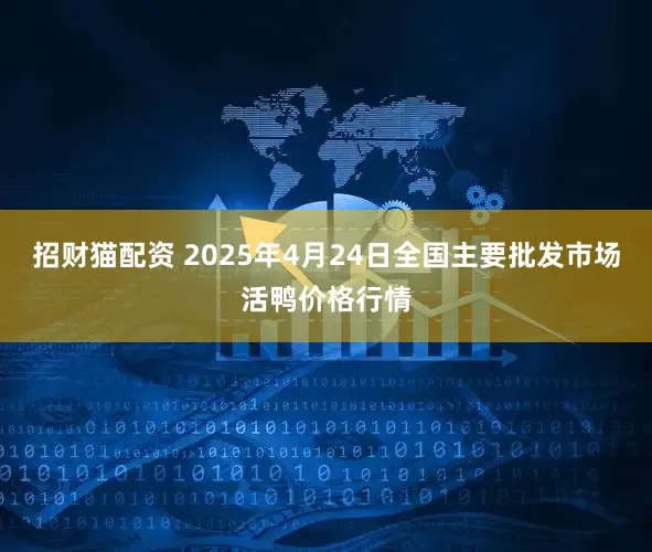 招财猫配资 2025年4月24日全国主要批发市场活鸭价格行情