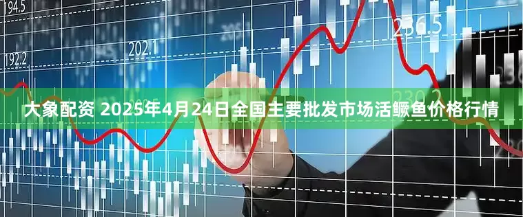 大象配资 2025年4月24日全国主要批发市场活鳜鱼价格行情