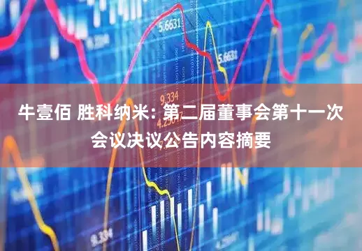 牛壹佰 胜科纳米: 第二届董事会第十一次会议决议公告内容摘要