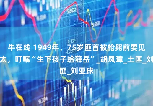 牛在线 1949年，75岁匪首被枪毙前要见姨太太，叮嘱“生下孩子给薛岳”_胡凤璋_土匪_刘亚球