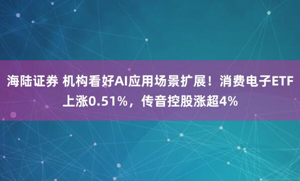 海陆证券 机构看好AI应用场景扩展！消费电子ETF上涨0.51%，传音控股涨超4%